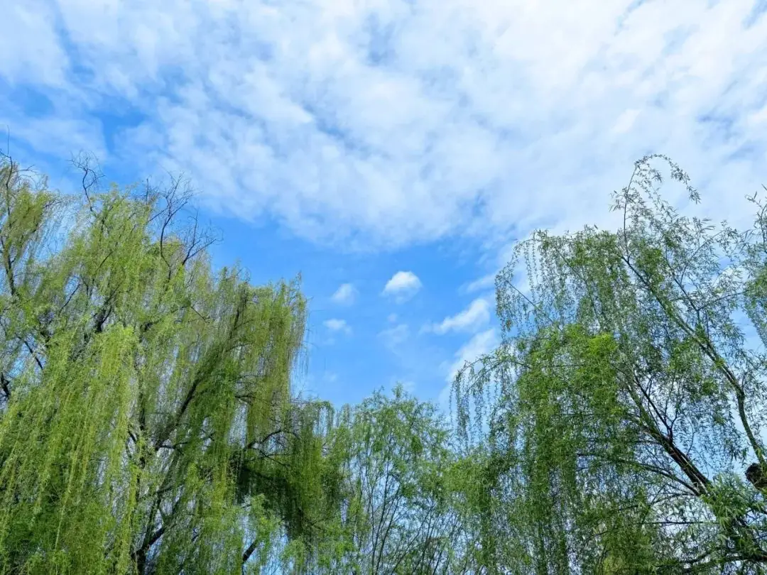 高考倒计时50天●所有期待的未来正在路上 第17张 高考倒计时50天●所有期待的未来正在路上 第17张
