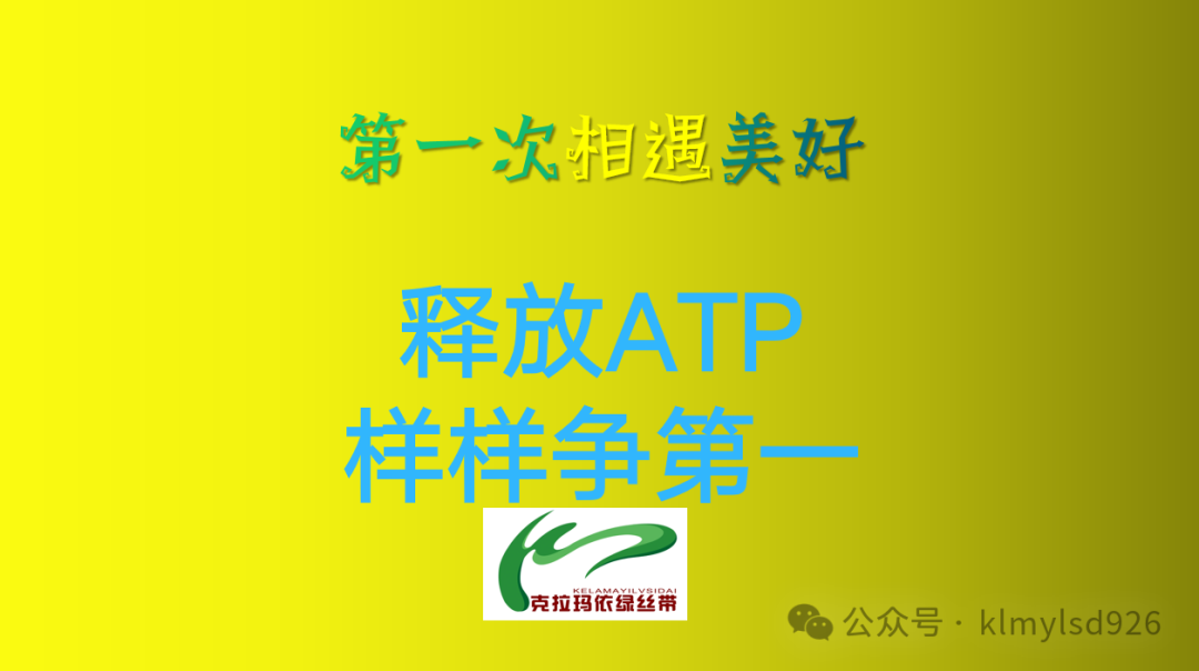 50天!高考倒计时!-第8张图片-四季读书网 50天!高考倒计时!-第8张图片-四季读书网