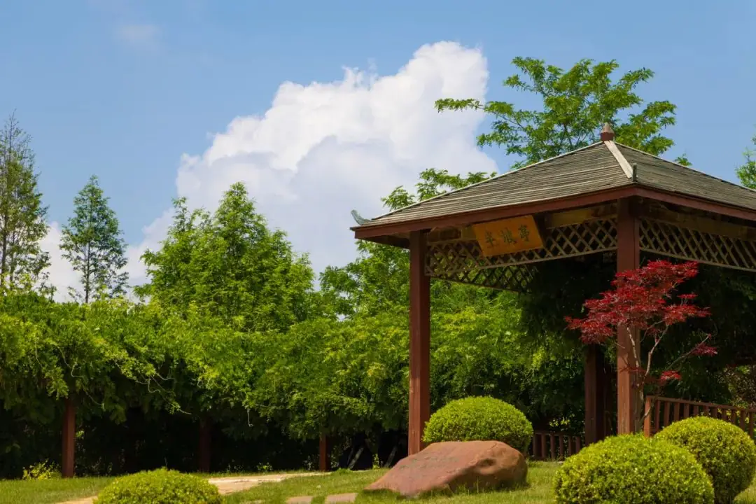 高考倒计时50天丨凝心聚力,蓄势待发,玉兰花开,只等你来!-第3张图片-四季读书网 高考倒计时50天丨凝心聚力,蓄势待发,玉兰花开,只等你来!-第3张图片-四季读书网