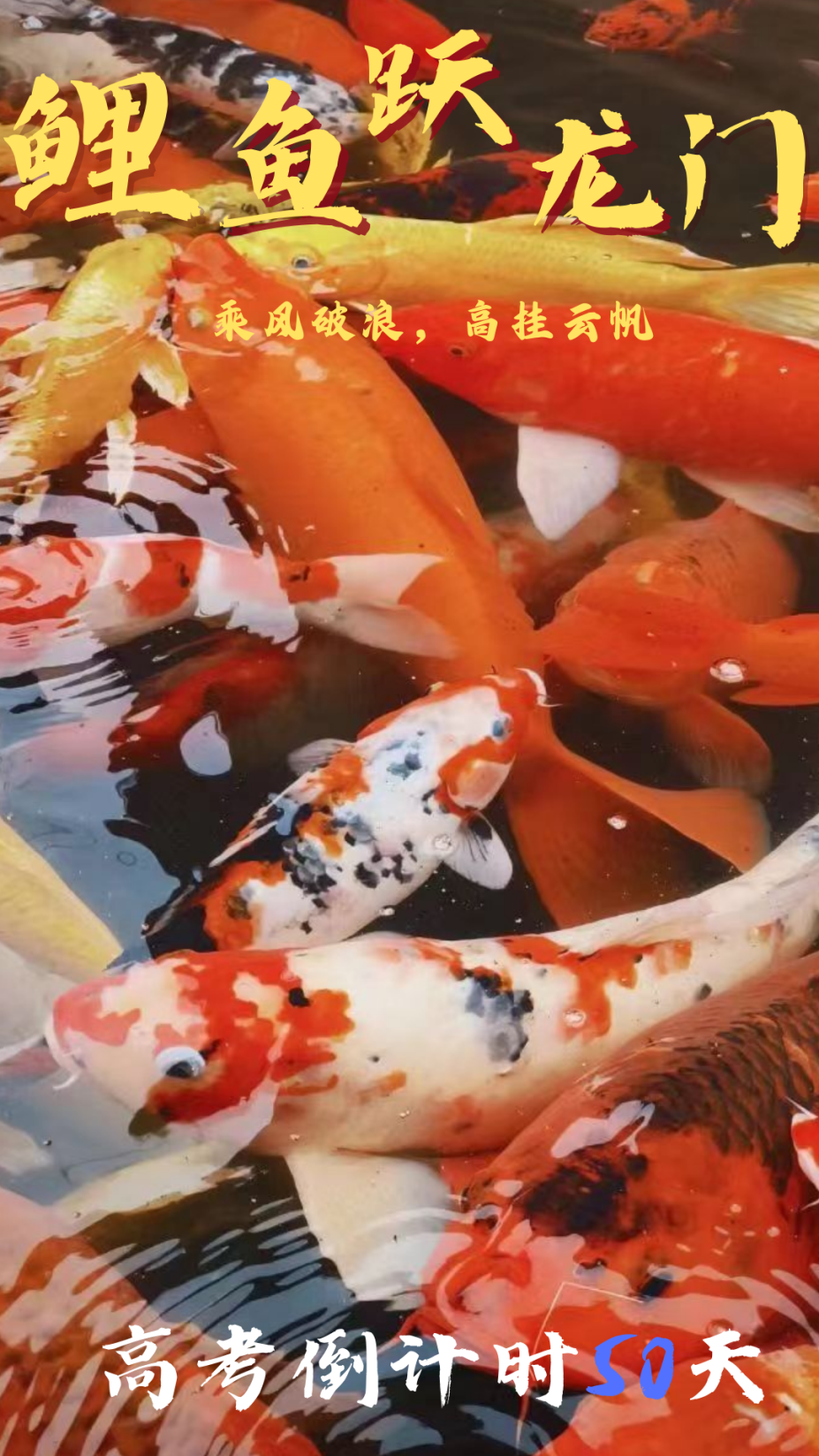 高考倒计时50天|我们在西南科大等你!-第6张图片-四季读书网