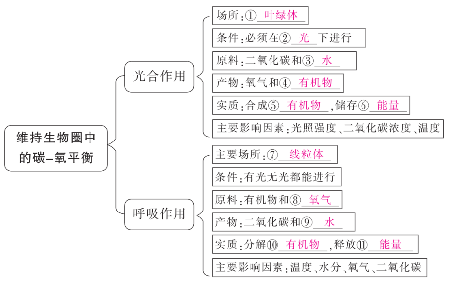 中考魔方丨生物·绿色植物的光合作用和呼吸作用-第3张图片-四季读书网 中考魔方丨生物·绿色植物的光合作用和呼吸作用-第3张图片-四季读书网
