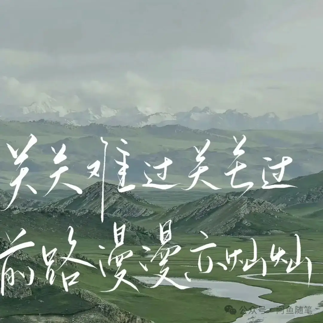 致敬高考-第1张图片-四季读书网