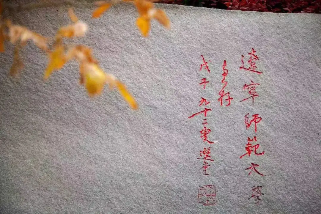高考倒计时50天丨凝心聚力,蓄势待发,玉兰花开,只等你来!-第12张图片-四季读书网 高考倒计时50天丨凝心聚力,蓄势待发,玉兰花开,只等你来!-第12张图片-四季读书网
