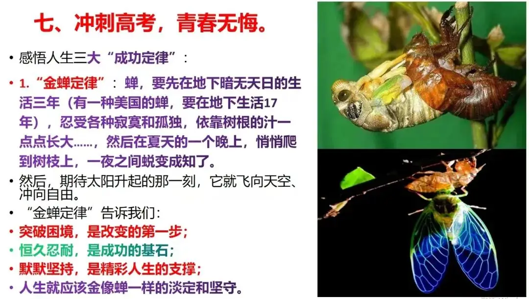 决胜高考 圆梦大学——靖边七中2024届高考冲刺50天动员大会 第28张 决胜高考 圆梦大学——靖边七中2024届高考冲刺50天动员大会 第28张