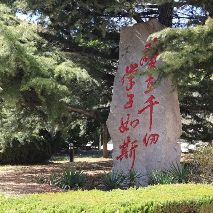 高考倒计时50天丨凝心聚力,蓄势待发,玉兰花开,只等你来!-第16张图片-四季读书网 高考倒计时50天丨凝心聚力,蓄势待发,玉兰花开,只等你来!-第16张图片-四季读书网