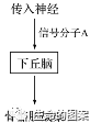 【高考备考】长句表达规范练-第5张图片-四季读书网 【高考备考】长句表达规范练-第5张图片-四季读书网