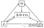 【高考备考】长句表达规范练-第18张图片-四季读书网 【高考备考】长句表达规范练-第18张图片-四季读书网