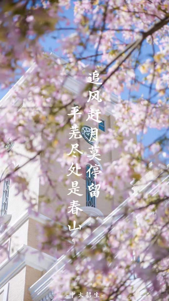 高考倒计时50天:读书札记21 | 为什么伟大不能被计划-第2张图片-四季读书网 高考倒计时50天:读书札记21 | 为什么伟大不能被计划-第2张图片-四季读书网