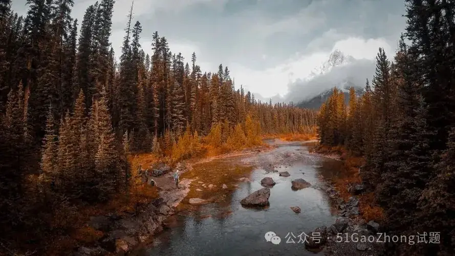 高考,也只是一场考试-第1张图片-四季读书网