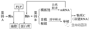 【高考备考】长句表达规范练-第4张图片-四季读书网 【高考备考】长句表达规范练-第4张图片-四季读书网