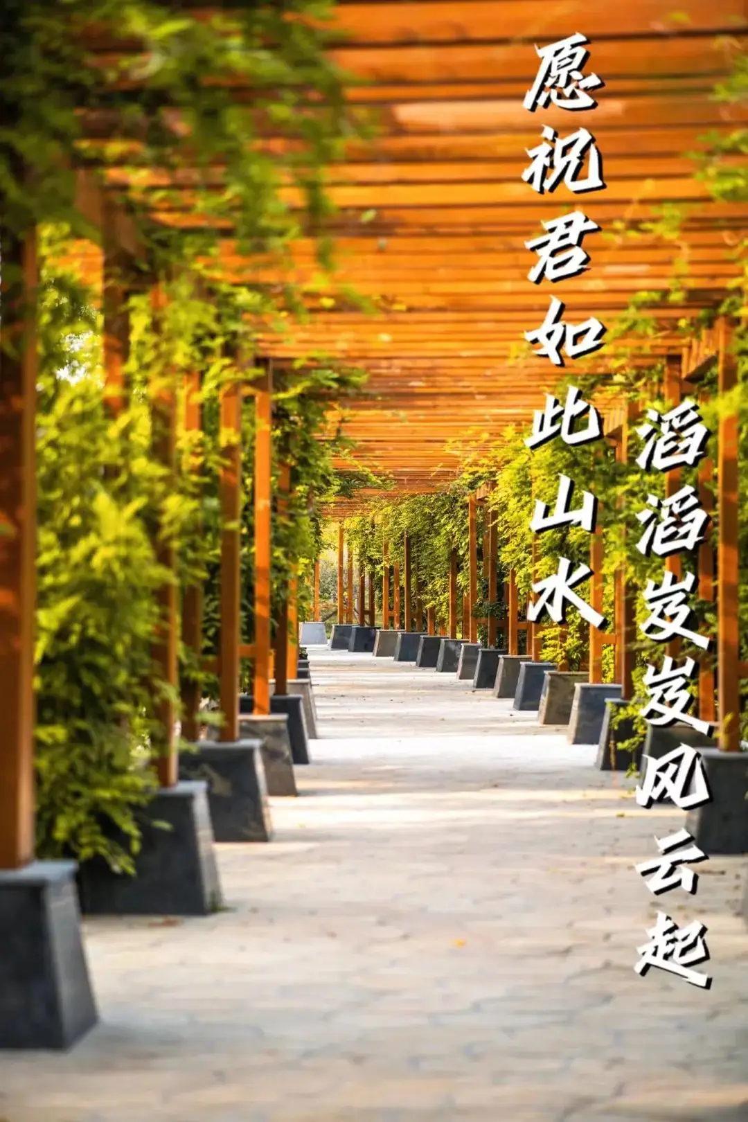 高考倒计时50天,你准备好了吗? 第18张