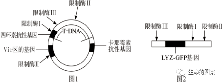 【高考备考】长句表达规范练-第21张图片-四季读书网 【高考备考】长句表达规范练-第21张图片-四季读书网