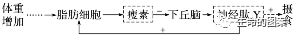 【高考备考】长句表达规范练-第8张图片-四季读书网 【高考备考】长句表达规范练-第8张图片-四季读书网