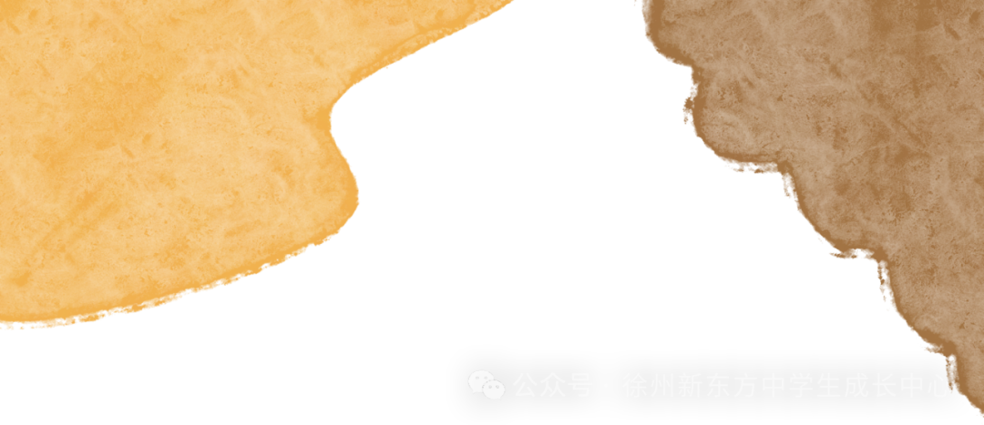 徐州老牌公立学校第38中学大揭秘,中考成绩、分班情况、指标生数据...这里都有-第1张图片-四季读书网