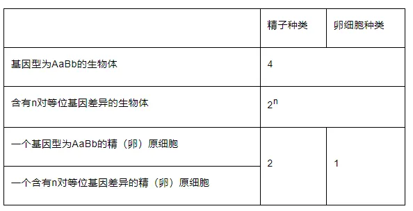 高考生物 | 减数分裂知识点总结!-第1张图片-四季读书网 高考生物 | 减数分裂知识点总结!-第1张图片-四季读书网