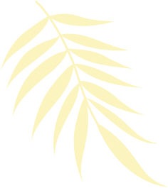 凝心聚力备中考 深耕精研启新程——恒口示范区教研共同体化学学科中考复习备考交流研讨活动在大同初级中学顺利举办-第4张图片-四季读书网