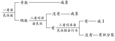高考生物 | 减数分裂知识点总结!-第4张图片-四季读书网 高考生物 | 减数分裂知识点总结!-第4张图片-四季读书网