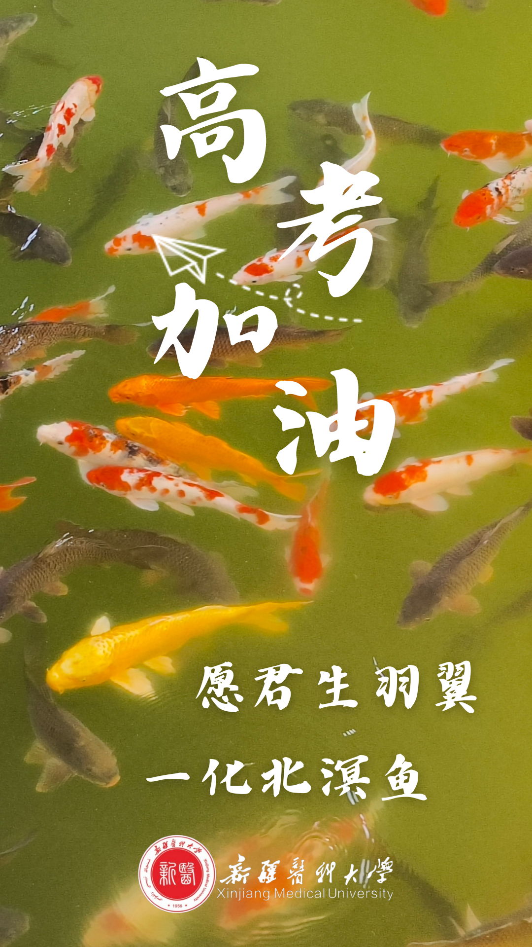 高考倒计时50天 | 下一站,雪莲山! 第32张 高考倒计时50天 | 下一站,雪莲山! 第32张