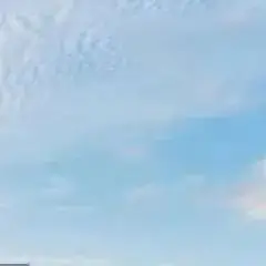 高考倒计时50天|我在怀德学院为你加油 第15张