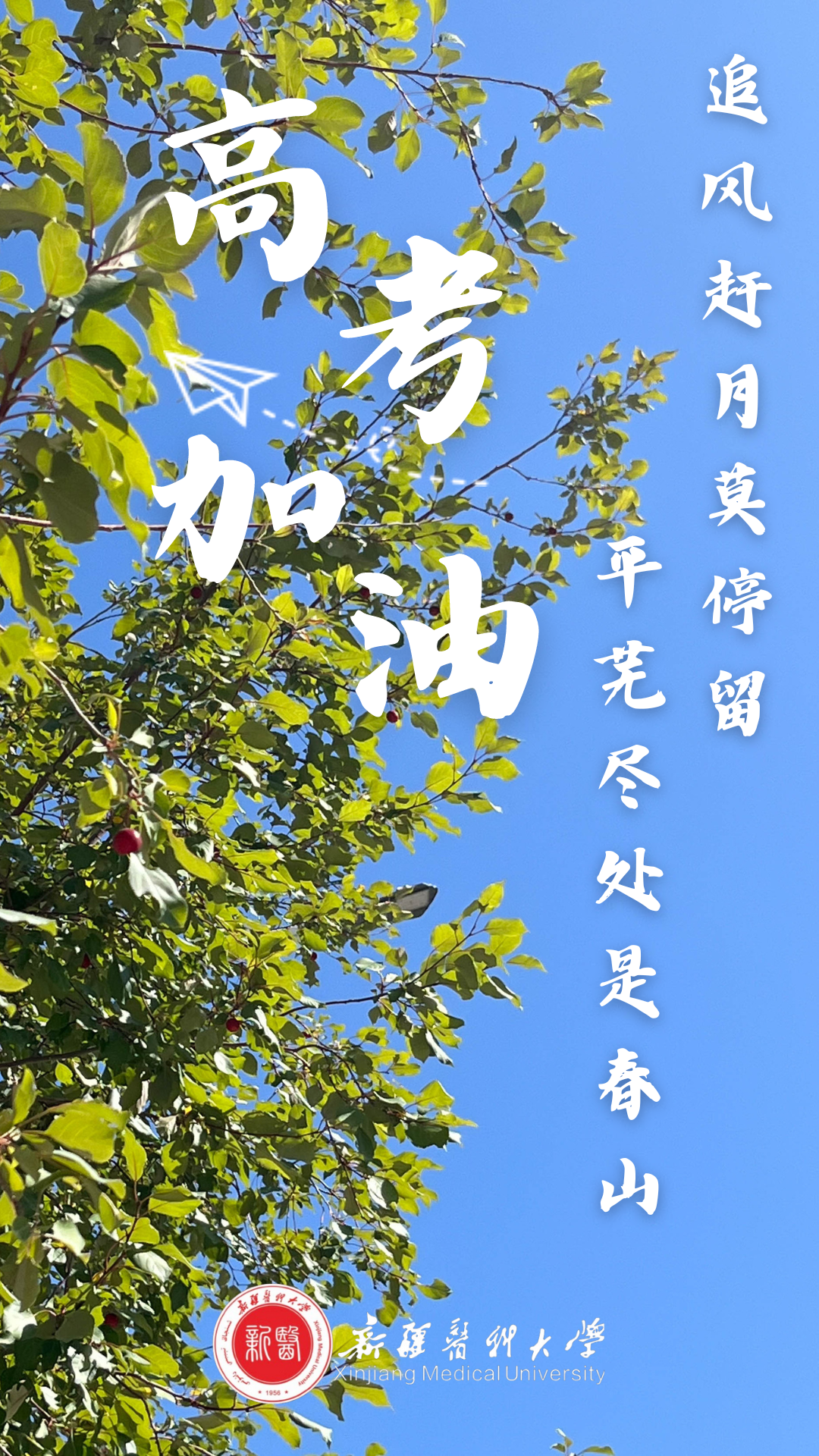 高考倒计时50天 | 下一站,雪莲山! 第33张 高考倒计时50天 | 下一站,雪莲山! 第33张