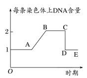 高考生物 | 减数分裂知识点总结!-第6张图片-四季读书网 高考生物 | 减数分裂知识点总结!-第6张图片-四季读书网