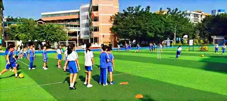 最新!深圳80余所初中学校中考成绩汇总!建议收藏!-第1张图片-四季读书网