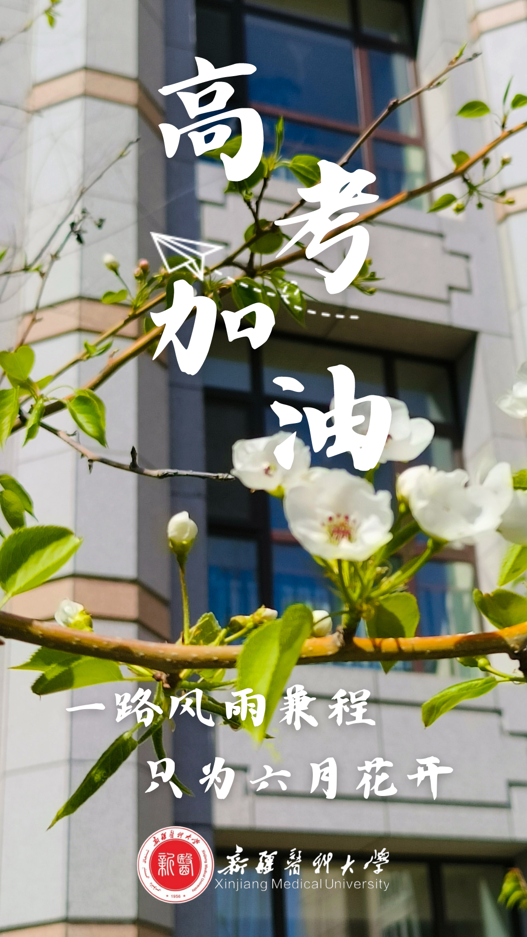 高考倒计时50天 | 下一站,雪莲山! 第31张 高考倒计时50天 | 下一站,雪莲山! 第31张