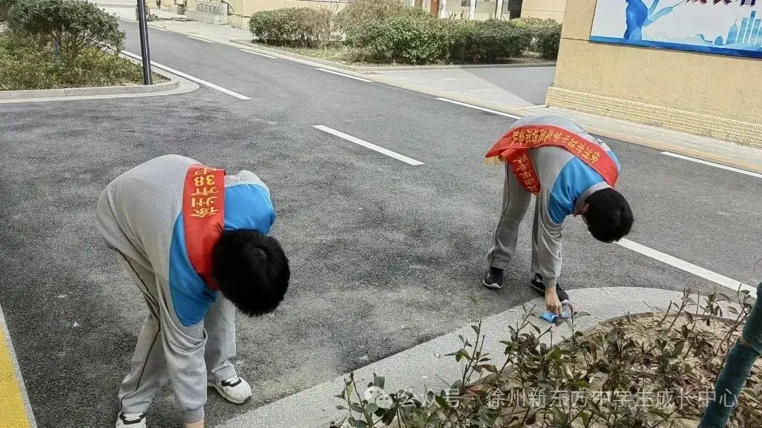 徐州老牌公立学校第38中学大揭秘,中考成绩、分班情况、指标生数据...这里都有-第8张图片-四季读书网