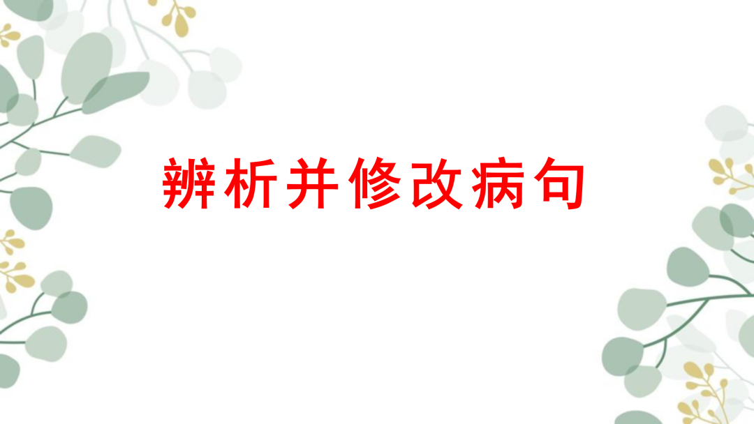 2024高考语文二轮复习专题考点知识训练!(25)-第38张图片-四季读书网