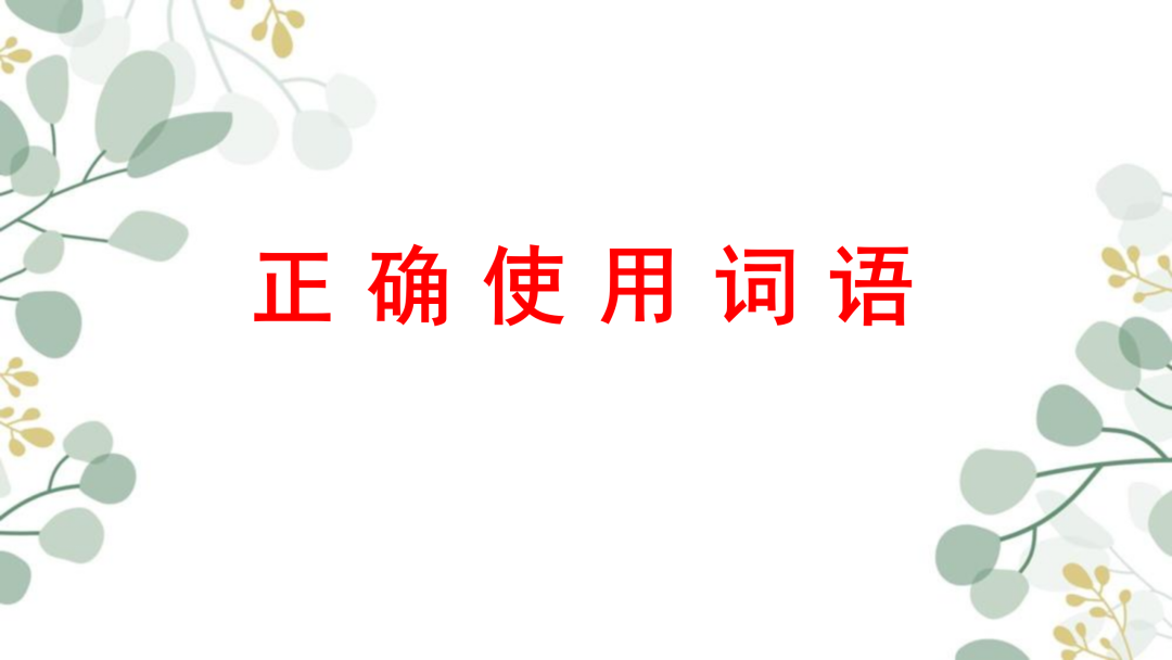 2024高考语文二轮复习专题考点知识训练!(25)-第25张图片-四季读书网