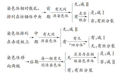 高考生物 | 减数分裂知识点总结!-第5张图片-四季读书网 高考生物 | 减数分裂知识点总结!-第5张图片-四季读书网