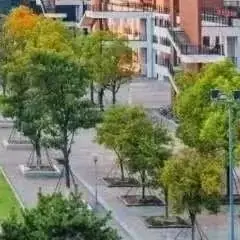 高考倒计时50天|我在怀德学院为你加油 第47张