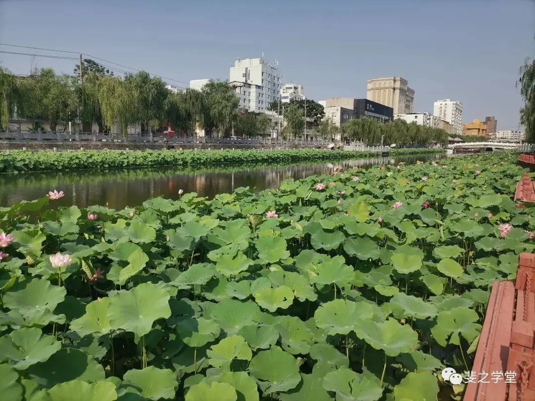 中考第二天-第1张图片-四季读书网 中考第二天-第1张图片-四季读书网