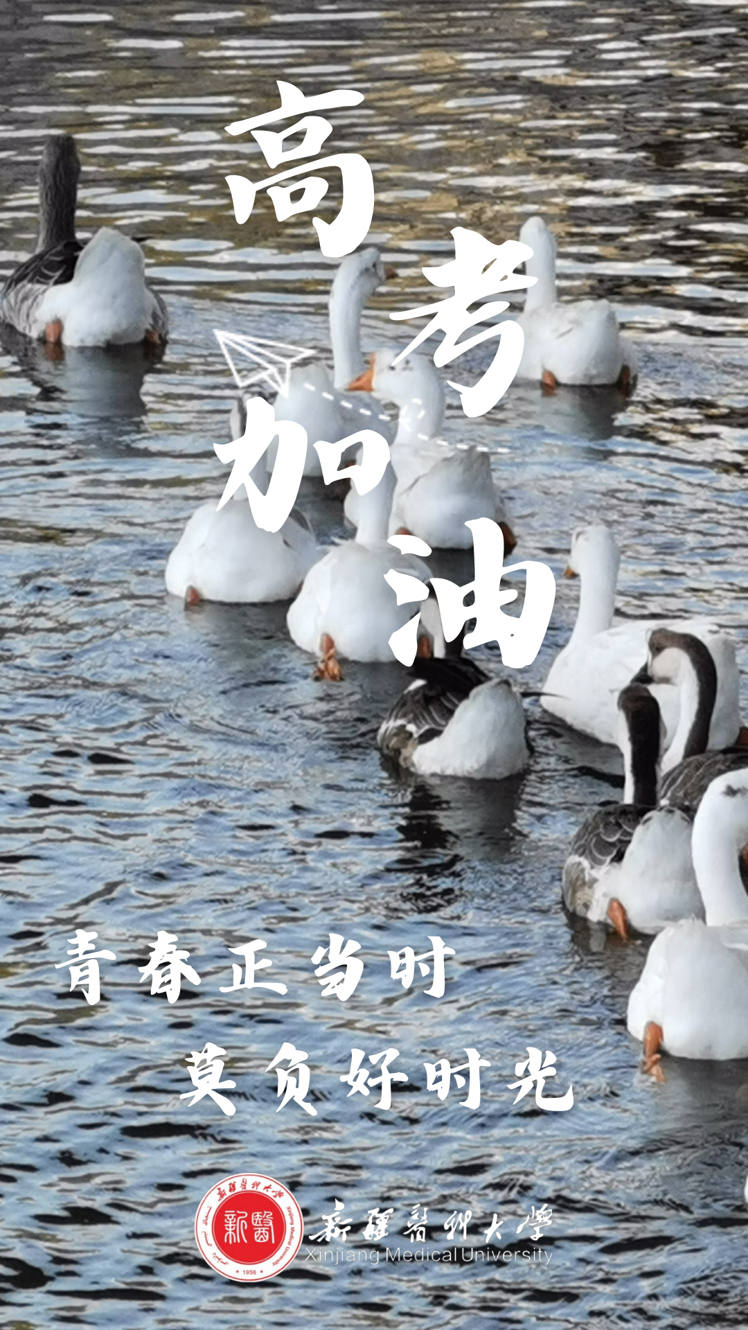 高考倒计时50天 | 下一站,雪莲山! 第30张 高考倒计时50天 | 下一站,雪莲山! 第30张