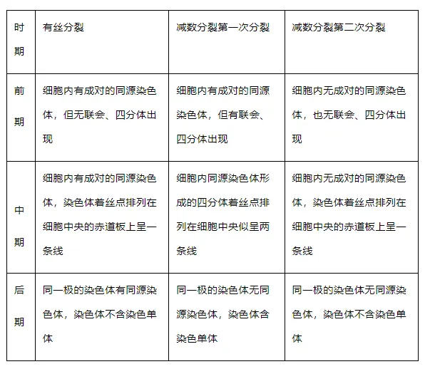 高考生物 | 减数分裂知识点总结!-第2张图片-四季读书网 高考生物 | 减数分裂知识点总结!-第2张图片-四季读书网
