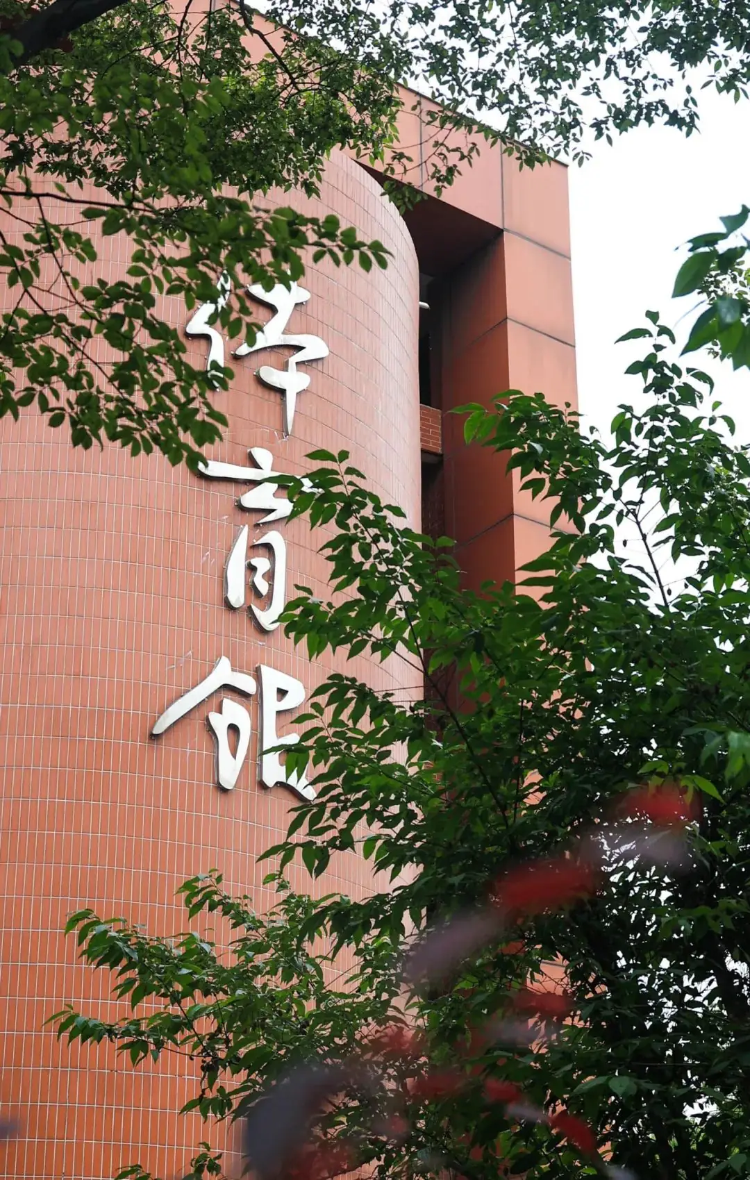 高考倒计时50天|我在怀德学院为你加油 第59张