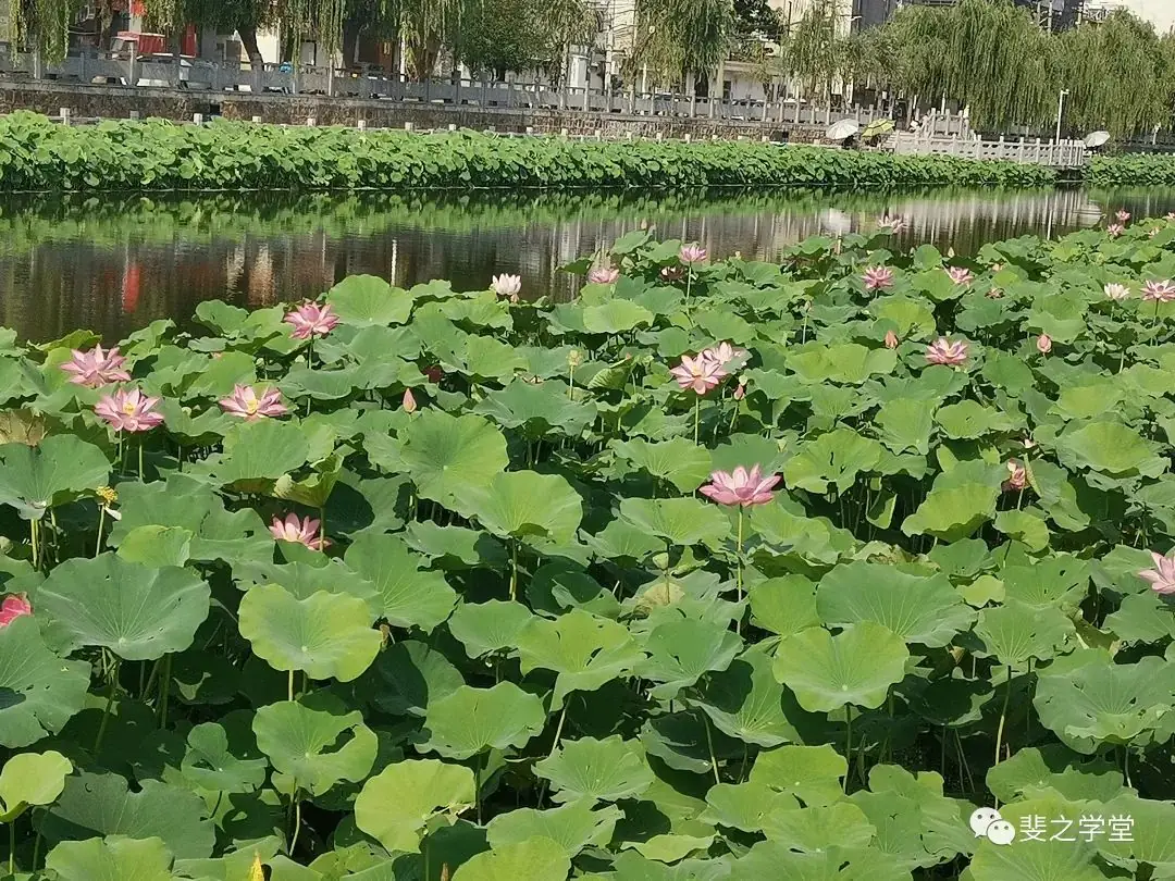 中考第二天-第2张图片-四季读书网 中考第二天-第2张图片-四季读书网
