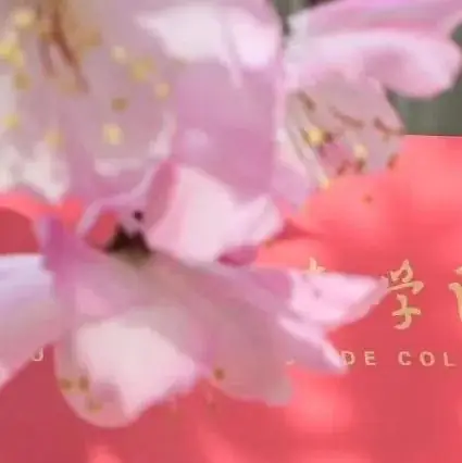 高考倒计时50天|我在怀德学院为你加油 第5张