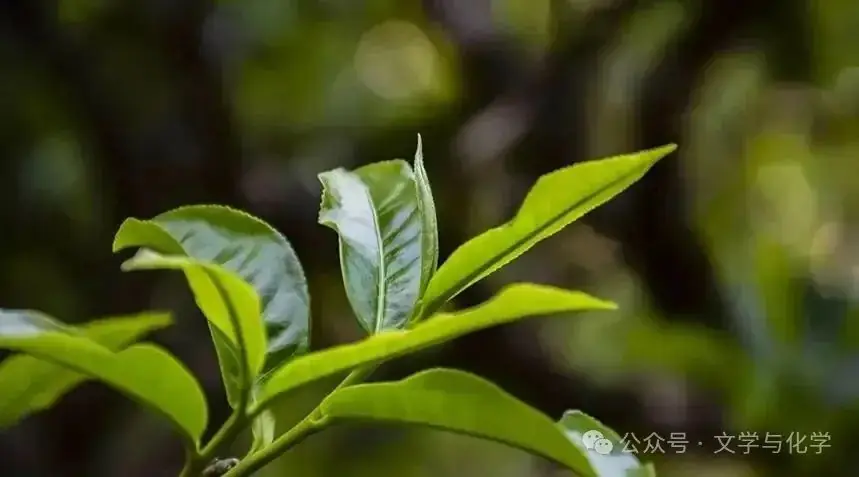 高考化学抢分秘籍-秘籍13工艺流程-例题-第6张图片-四季读书网