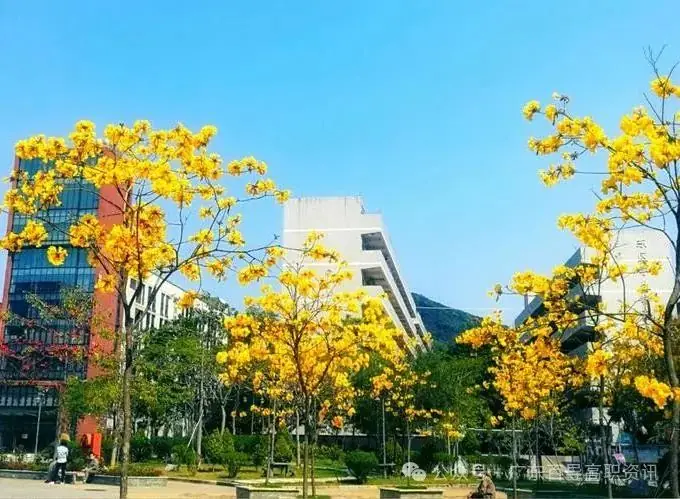 广东工程职业技术学院-2024年春季高考投档分数线(录取查询方式、学校介绍) 第8张 广东工程职业技术学院-2024年春季高考投档分数线(录取查询方式、学校介绍) 第8张