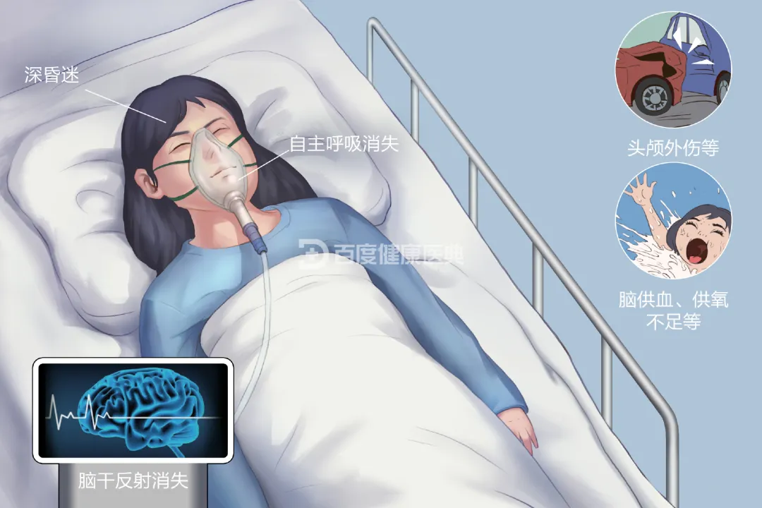湖北17岁女孩高考前确诊脑死亡,父母刚签完器官捐献,突然接到来电:能救活…… 第4张 湖北17岁女孩高考前确诊脑死亡,父母刚签完器官捐献,突然接到来电:能救活…… 第4张
