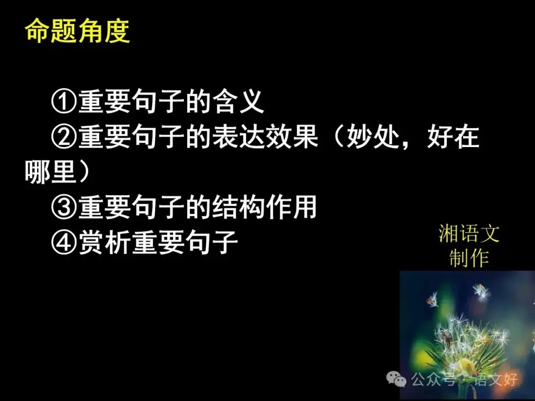 2024高考散文阅读课件4合1(多类题型,链接高考)-第45张图片-四季读书网