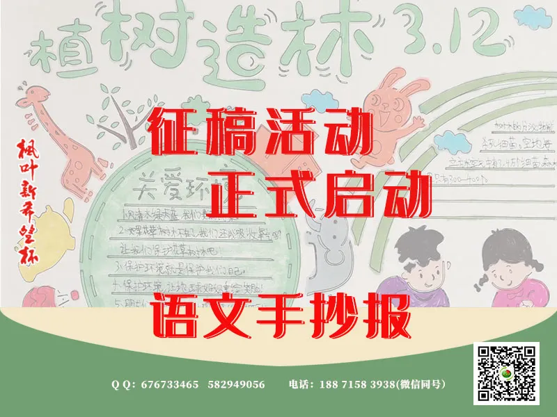 中考数学重难点是什么?-第6张图片-四季读书网