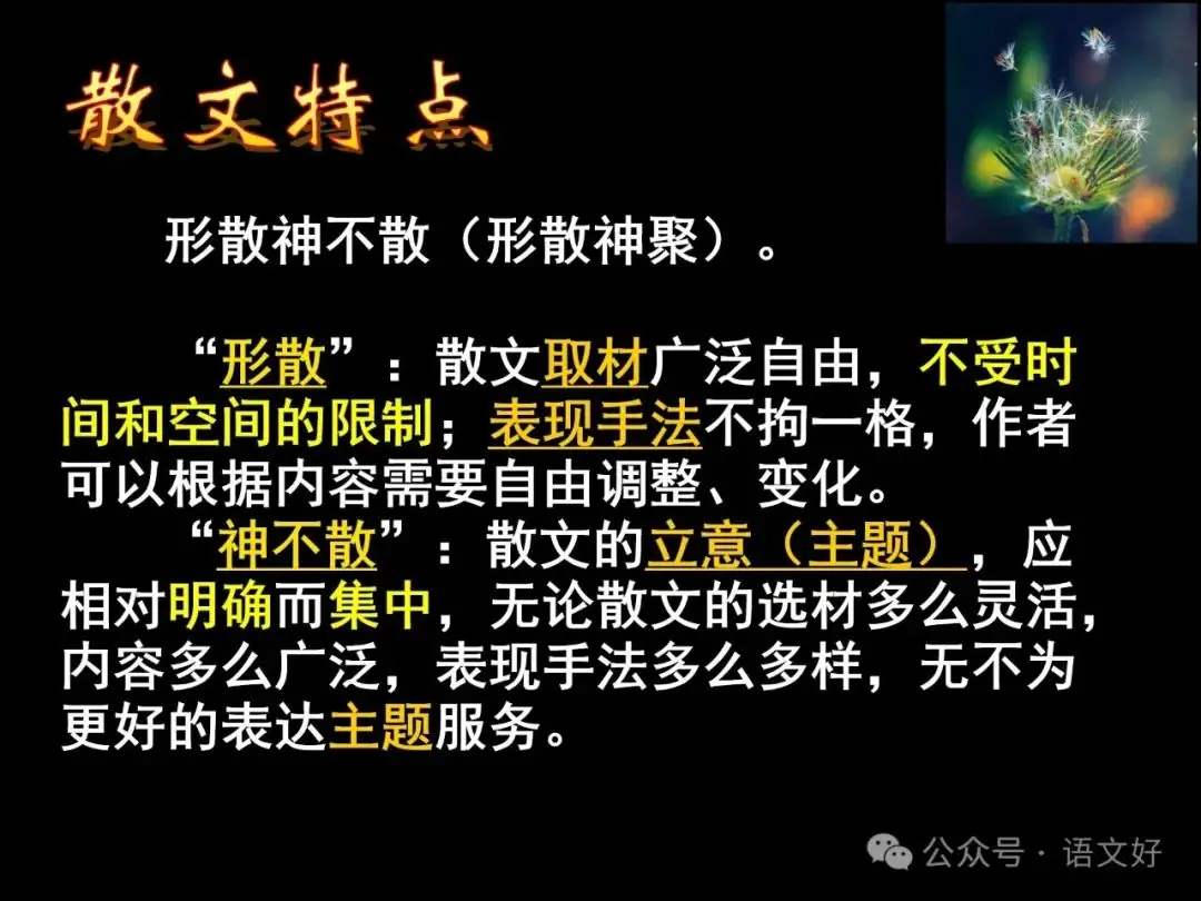 2024高考散文阅读课件4合1(多类题型,链接高考)-第8张图片-四季读书网