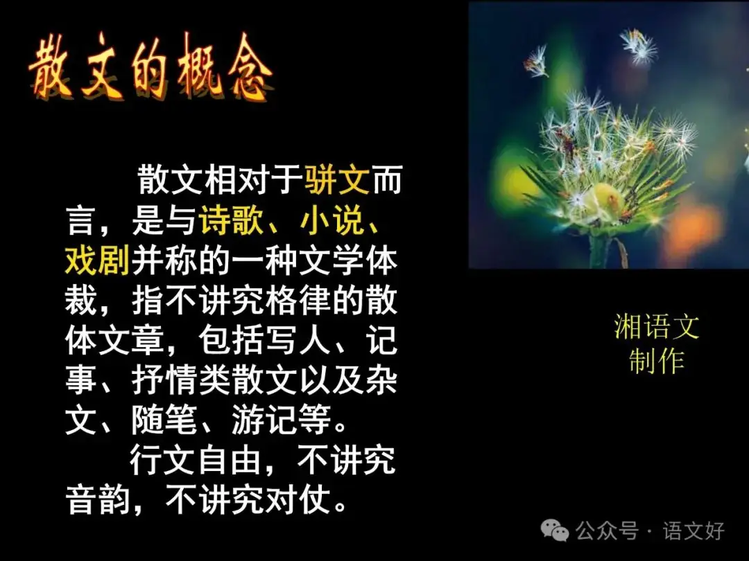 2024高考散文阅读课件4合1(多类题型,链接高考)-第6张图片-四季读书网