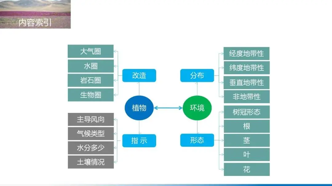 【技巧】突破微专题的捷径:读懂高考地理思维导图④ 第8张