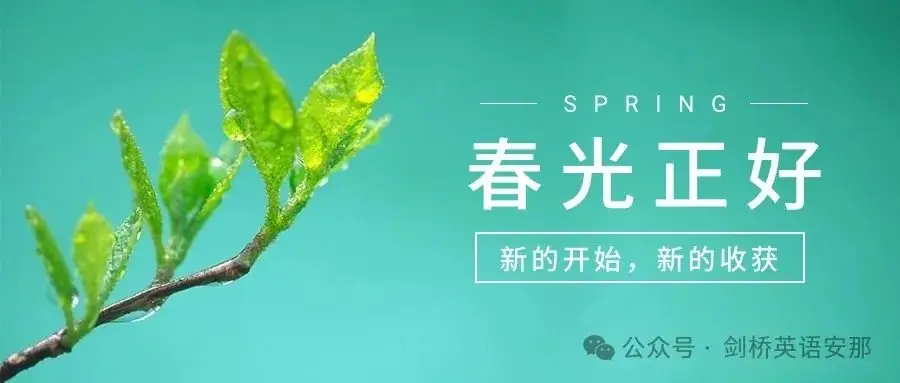 中考知识点| 热点话题及经典范文之社会篇 第1张