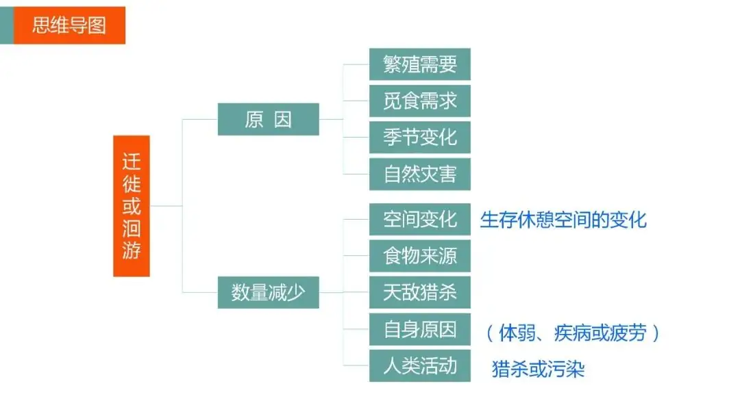 【技巧】突破微专题的捷径:读懂高考地理思维导图④ 第6张