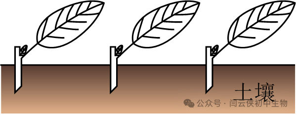 中考真题:2023年福建省中考生物试卷(后附答案) 第2张 中考真题:2023年福建省中考生物试卷(后附答案) 第2张