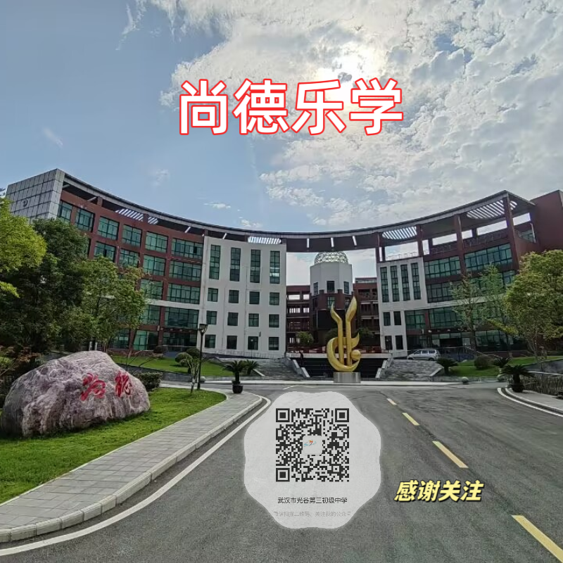 “从三调看中考”联合教研活动—光谷实验中学教联体中考备考秘诀分享 第17张